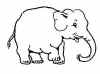 ELEFANT.jpg (8762 Byte)
